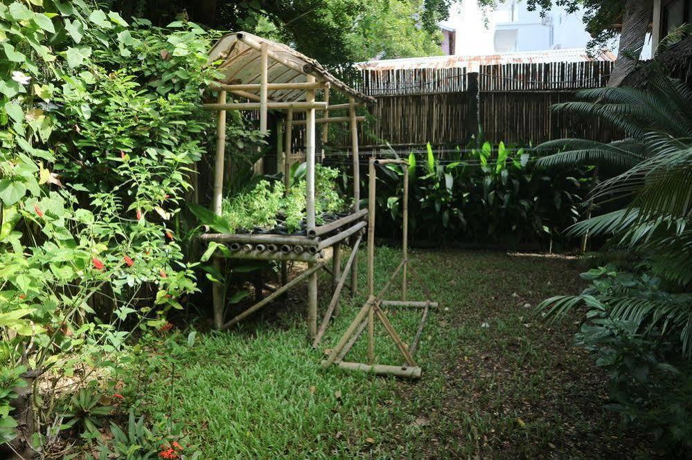 Blue Bayou Bungalows Balabag  外观 照片
